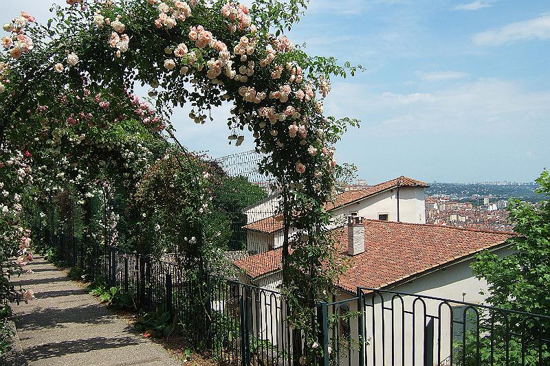 2010-06- (338).JPG